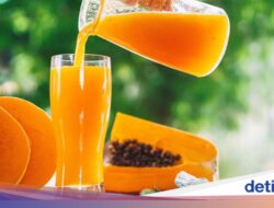 Ternyata Begini Cara Tepat Meracik Jus Pepaya ala Doktor Harvard