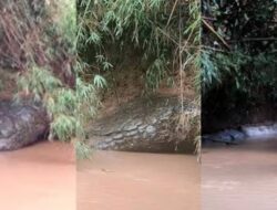 Lagi-lagi Batu Berbentuk Ular Raksasa Tiba-tiba Muncul Ke Sungai