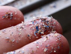 Guru Besar IPB Jelaskan Alasan Di Balik Ramai Air Hujan DKI Mengandung Mikroplastik