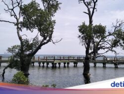 Kepulauan Seribu yang Ternyata Tidak Seribu, Bisa Tetap Menarik Perhatian Asal…