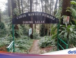 Mulai November, Tiket Masuk Di TN Halimun Salak Turun, Ini Rinciannya