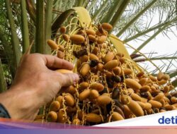 5 Buah Langka yang Sudah Punah, Nomor 5 Ternyata Asal Indonesia