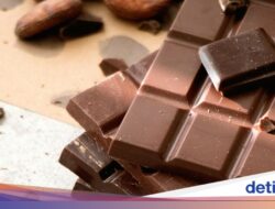 Sering Bikin Khawatir, Ini Fakta Hingga Balik 5 Mitos Keadaan soal Minuman