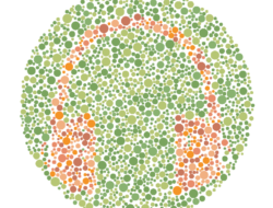 Seberapa Jeli Matamu Buat Lihat 10 Tes Buta Warna ini? Jangan Sampai Keliru!