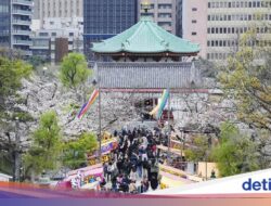 Asia Karena Itu Unjuk Turis AS Liburan, Ini Kota-kota yang Paling Diminati, Ada Bali