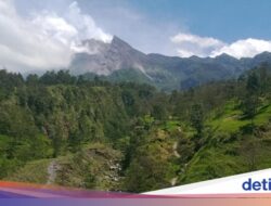 3 Pendaki Ilegal Hingga Gunung Merapi Celaka, Cuma Berbekal Sandal Jepit dan Tumbler