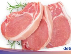 Ada Permasalahan Relokasi Peternakan Babi, Pemerintah Malaysia Serukan Toleransi