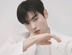 Dugaan Penggelapan Pajak Lainnya Rp230 Miliar, Cha Eun Woo Akhirnya Buka Suara