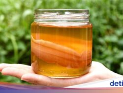 Bosan Buncit? 7 Sumber Probiotik Ini Bantu Perut Lebih Ramping