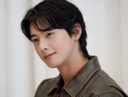 Tindak Kejahatan Dugaan Penggelapan Pajak Lainnya, Alamat Perusahaan Cha Eun Woo Dipindahkan Ke Hari Pemeriksaan