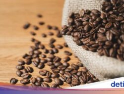 5 Negeri Hingga Asia yang Sukses Karena Itu Distributor Biji Minuman Kafein Terbaik, Ada Indonesia!
