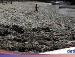 Miris, Pesisir Taman Wisata Laut Teluk Kupang Karena Itu Lautan Sampah