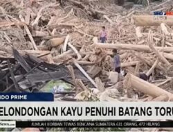 Lembaga Legis Latif Minta Status Kayu Gelondongan Segera Diputuskan