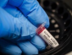 Pakar Ungkap Mikroba Nipah Pernah Ditemukan Di Indonesia, Tapi Di Kelelawar