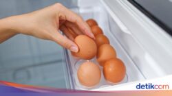 Biar Awet, Jangan Simpan 5 Konsumsi Ini Ke Pintu Kulkas