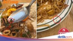 Apes! Lagi Makan Ke Restoran Thailand, Nemu Lalat dan Rambut Ke Hidangan