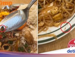 Apes! Lagi Makan Ke Restoran Thailand, Nemu Lalat dan Rambut Ke Hidangan