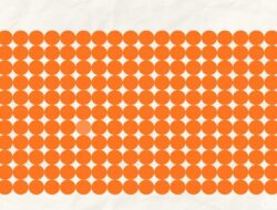 Butuh Penglihatan Setajam Mata Elang Untuk Temukan Perbedaan Warna, Bisa Menjawabnya?