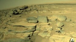 Elon Musk Siap Bangun Kota Ke Bulan dan Mars