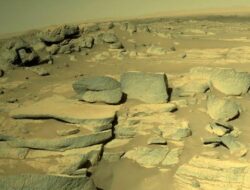 Elon Musk Siap Bangun Kota Ke Bulan dan Mars