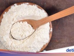 Rumah Diserbu Semut? Ini 7 Bahan Alami Pengusir Semut Sampai Tuntas