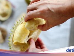 5 Konsumsi dan Minuman Pantangan Di Makan Durian, Jangan Sembarangan Ya!