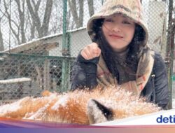 Foto Gemas Natasha Wilona Main Ke Desa Rubah Jepang
