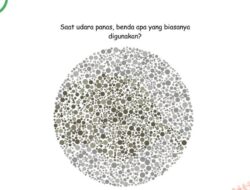 Tes Mata Buta Warna atau Nggak, Coba Temukan Benda Tersembunyi Di Gambar Ini