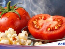Unik! Kini Ada Tomat yang Aromanya Mirip Popcorn