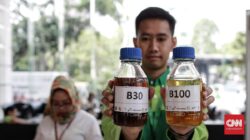 Kapan Biodiesel B50 Dimulai Di Indonesia?