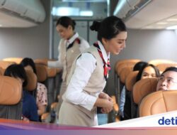 Momen Menjijikkan yang Dilihat Pramugari Ke Pesawat