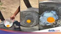 Wow! Suhu Tembus 38 Derajat C, Pria Ini Bisa Masak Telur Hingga Bawah Matahari