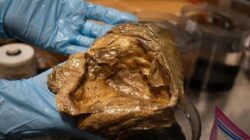 Misteri Telur Emas Diduga Yang Berhubungan Bersama Bersama Alien Terungkap