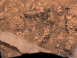 NASA Temukan Batuan Aneh Berbentuk Sisik Naga Ke Mars