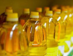 Siap-siap! Lonjakan Biaya Plastik Picu Fluktuasi Harga Energi Goreng