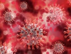 Varian Terbaru COVID-19 ‘Cicada’ Menyebar Hingga 23 Bangsa, Ini yang Perlu Diketahui