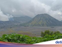 Wisata Gunung Bromo Tutup Sepekan Untuk Perawatan Ekosistem