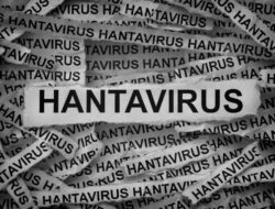 Fakta-fakta Wabah Hantavirus Hingga Kapal Pesiar Mewah, 3 Penumpang Tewas-Ratusan Terjebak