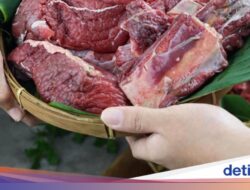 Ini 8 Ciri Daging Kurban yang Segar dan Aman Dikonsumsi
