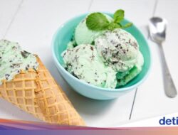 Terungkap! Sosok Penemu Es Krim Mint Chocolate Chip yang Mendunia