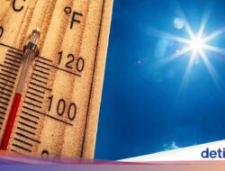 Gelombang Panas Eropa Pecahkan Catatan, Suhu Portugal Capai 40,3 Celcius
