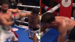 Mantan Kemenangan Dunia Tinju Paulie Malignaggi Tumbang KO Di Duel Bare-Knuckle