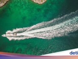 Liburan Hingga Raja Ampat Naik Speed Boat? Ini Tips Aman dan Nyaman Hingga Laut Lepas