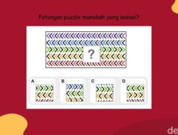 Tes Ketajaman Mata, Temukan Puzzle yang Hilang!