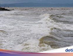Wisata Diving Selat Sape Disetop Sambil Imbas Gelombang Tinggi