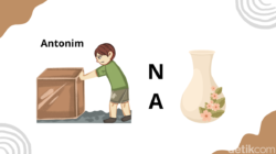 7 Tantangan Tebak Gambar, Hanya yang Teliti Bisa Jawab Semua