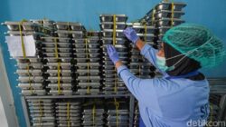 BGN Setop Buka Dapur MBG Terbaru, Waka Komisi IX Dewan Perwakilan Rakyat Usul Begini