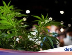 Ditengah Sepakbola dan Ruang Gawat Darurat
