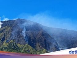 Bukit Sempana Sembalun Terbakar Hebat, Pendaki Dievakuasi-Pendakian Ditutup