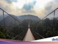 Sensasi Menyusuri Jembatan Terpanjang Di Asia Di Di Hutan Sukabumi
